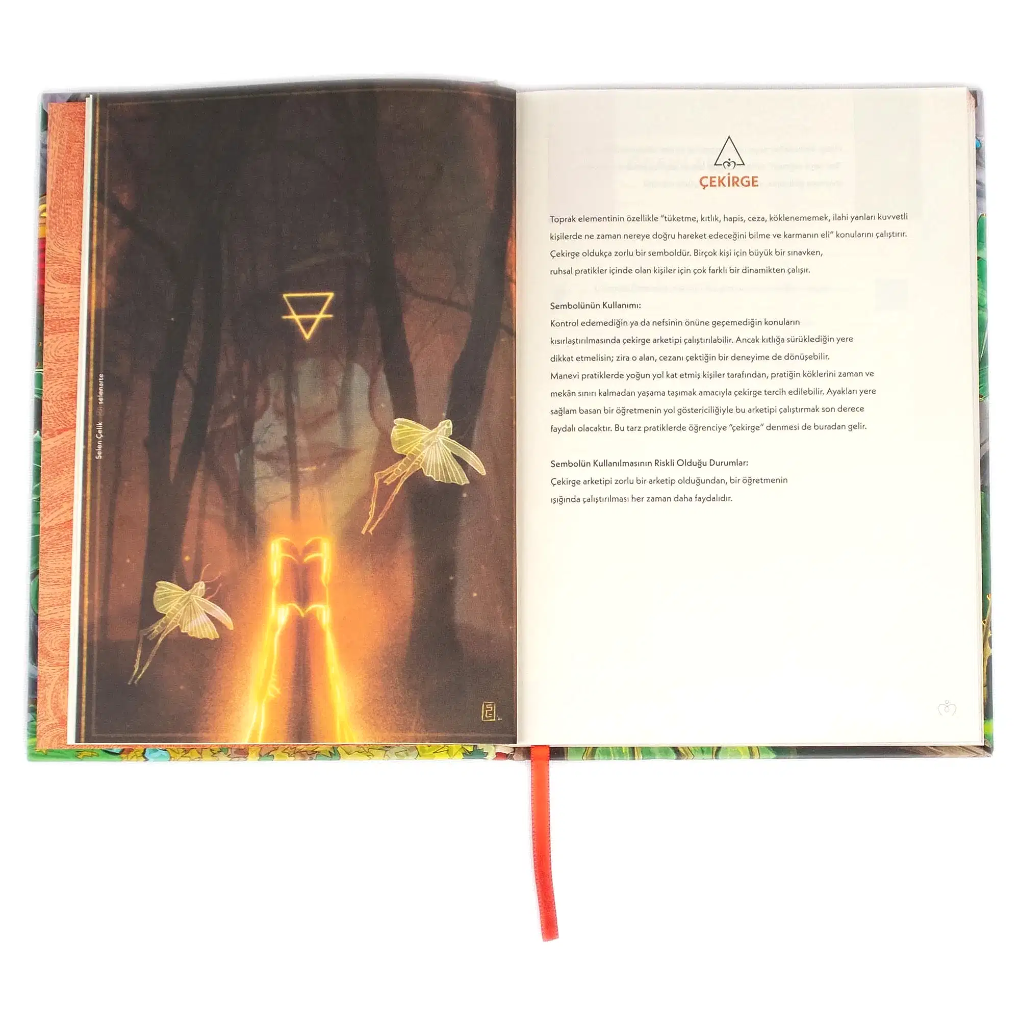 Element Defter 4'lü Set - Görsel 7