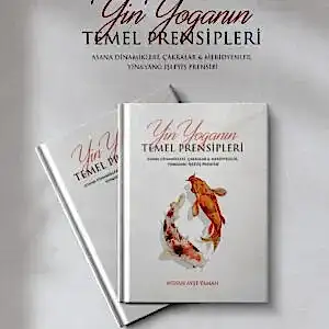 Yin Yoga'nın Temel Prensipleri